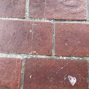 Meet your Posher, Derek